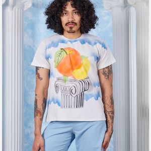Big Bud Press 1XL Peach Airbrush Tee Organic Vintage Feel BRAND NEW